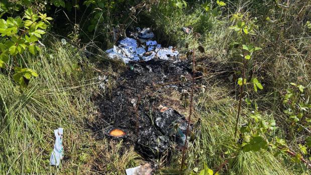 Verbrannter Müll und Asche in einer grasigen Böschung zwischen Sträuchern